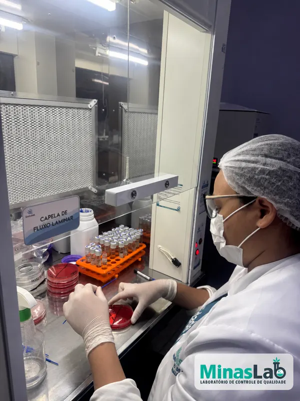 Rotina na bancada de microbiologia