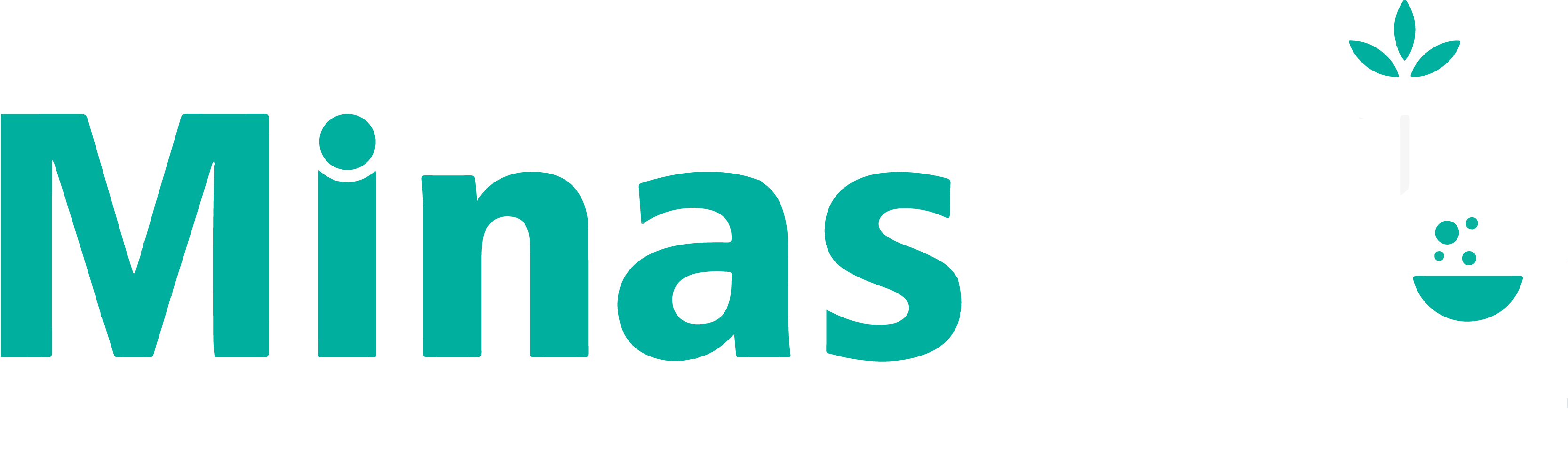 Logo Minaslab